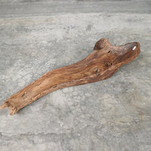 Load image into Gallery viewer, Live Edge Decorative Bowl (Rosewood)