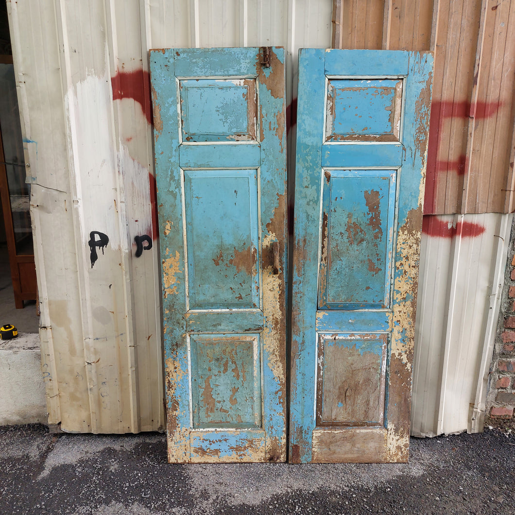 (Vintage Doors #24 (set of 2 doors)