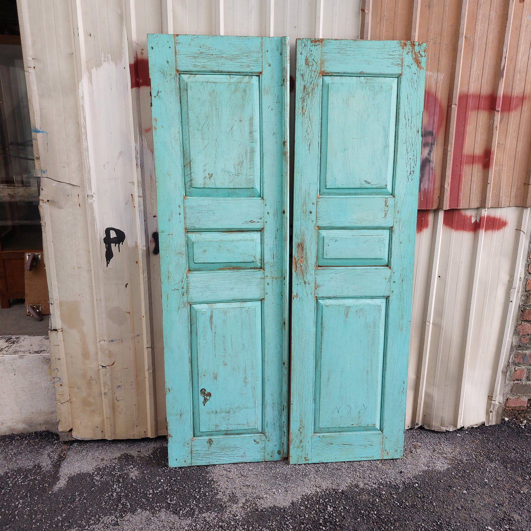 Vintage Doors #25 (set of 2 doors)