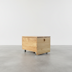 Custom Storage Box