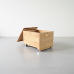 Custom Storage Box
