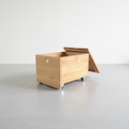 Custom Storage Box