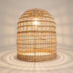 Cane Light Shade Type 1