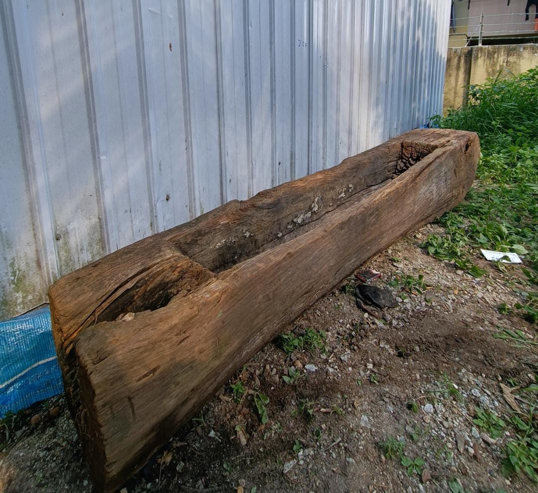 XXL Ornamental Lesong (240cm)