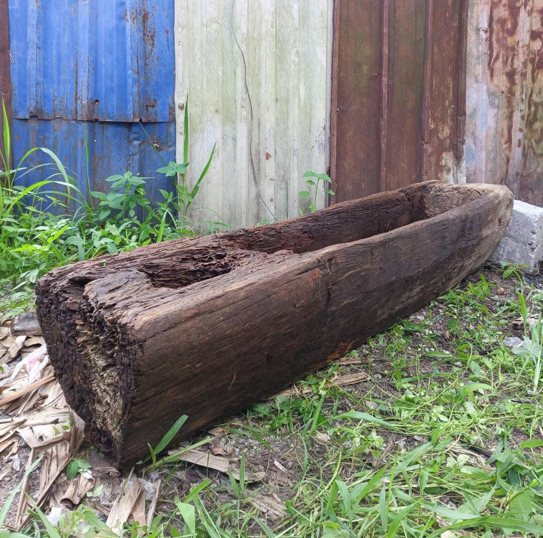 XL Ornamental Lesong (~170cm)