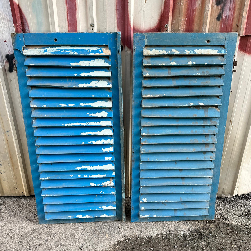 Louvred Doors (pair) #2