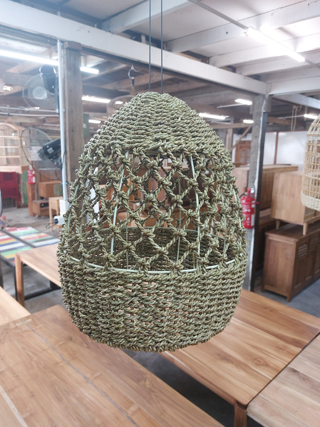 Sea Grass Light Shade Type 1