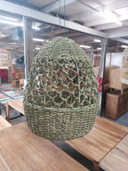 Sea Grass Light Shade Type 1