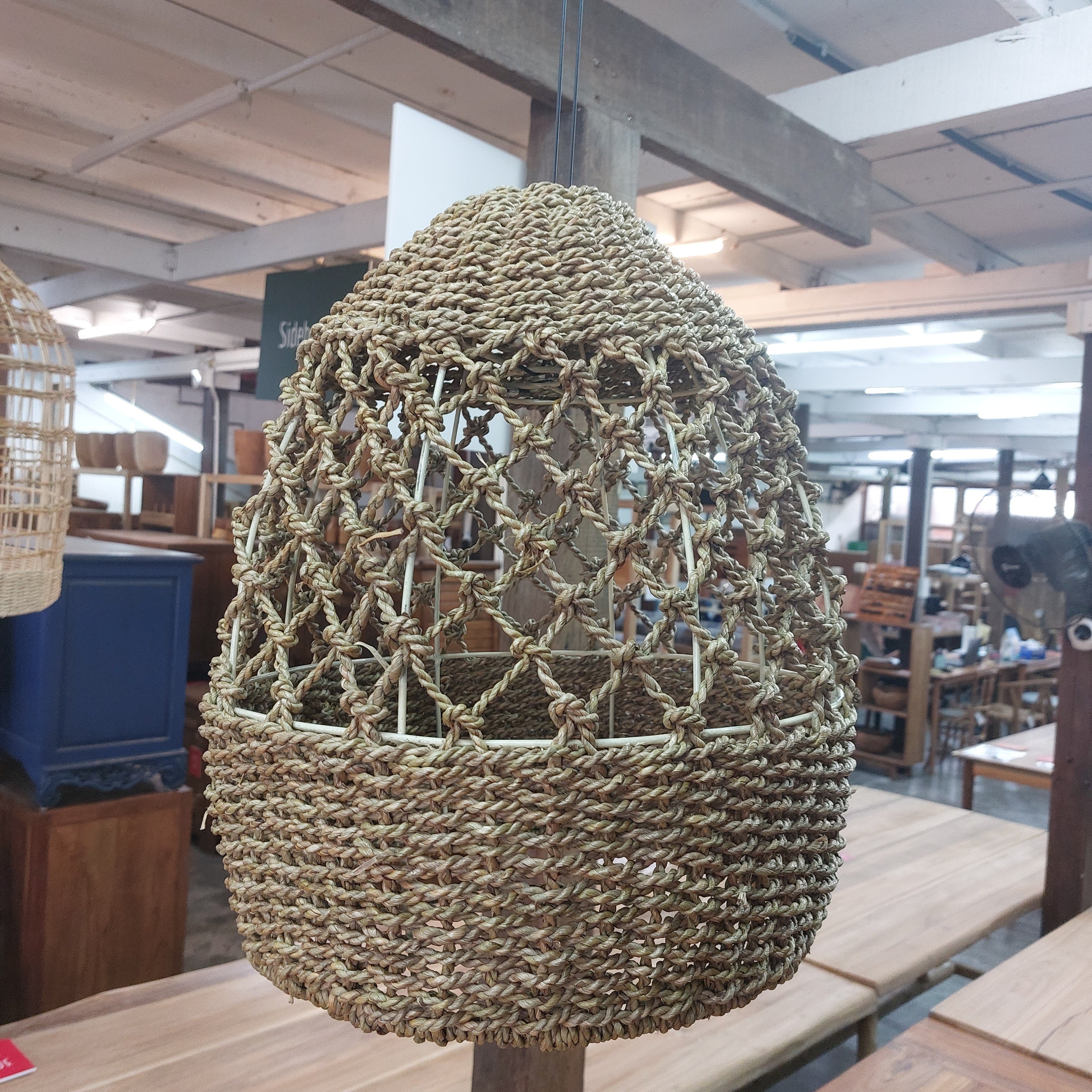 Sea Grass Light Shade Type 1