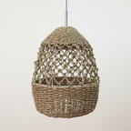 Sea Grass Light Shade Type 1