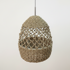 Sea Grass Light Shade Type 1
