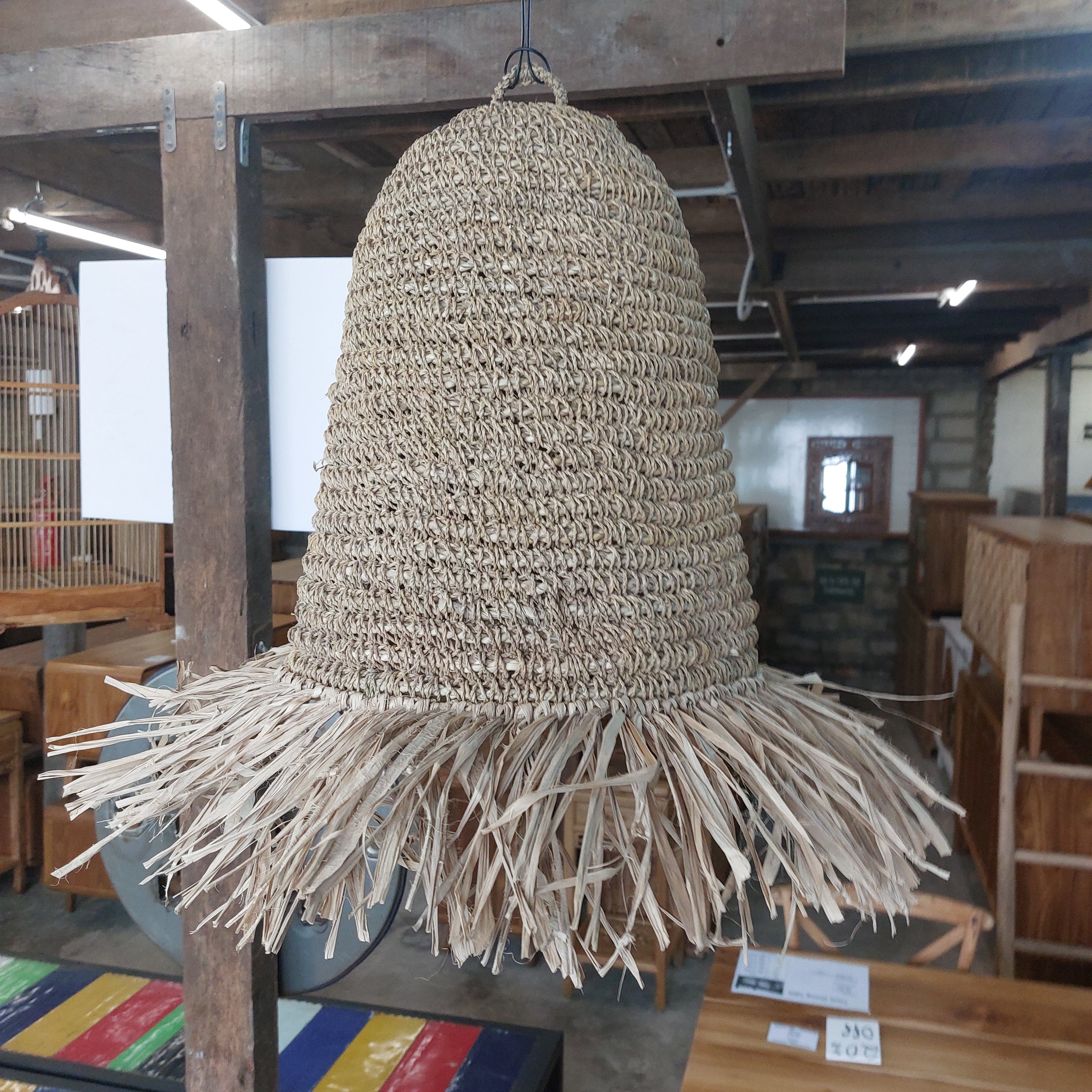 Sea Grass Light Shade Type 2