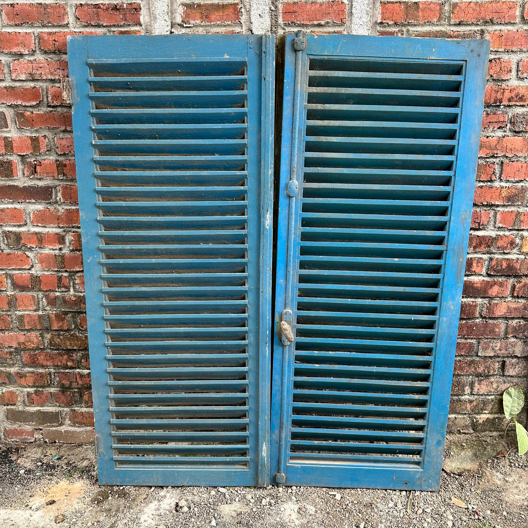 Vintage Doors #30 (set of 2 doors)