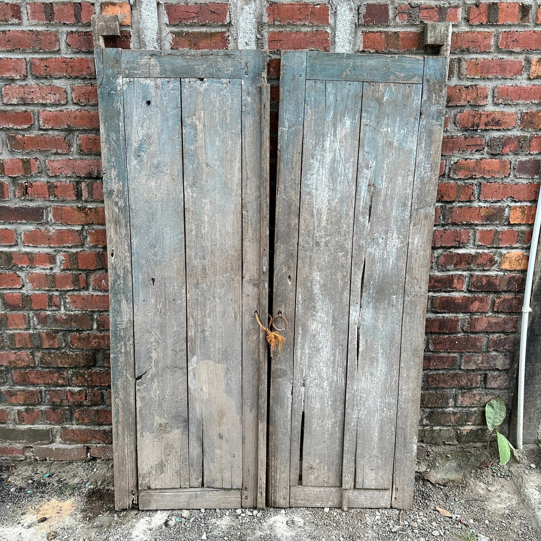 Vintage Doors #31 (set of 2 doors)