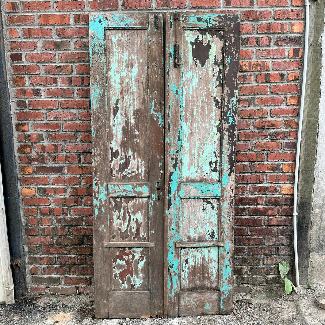 Vintage Doors #32 (set of 2 doors)