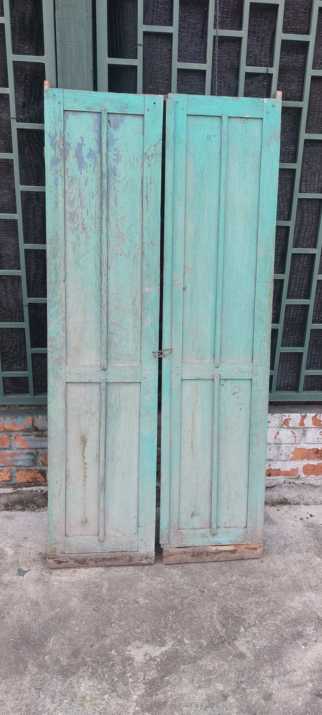 Vintage Doors #37 (set of 2 doors)
