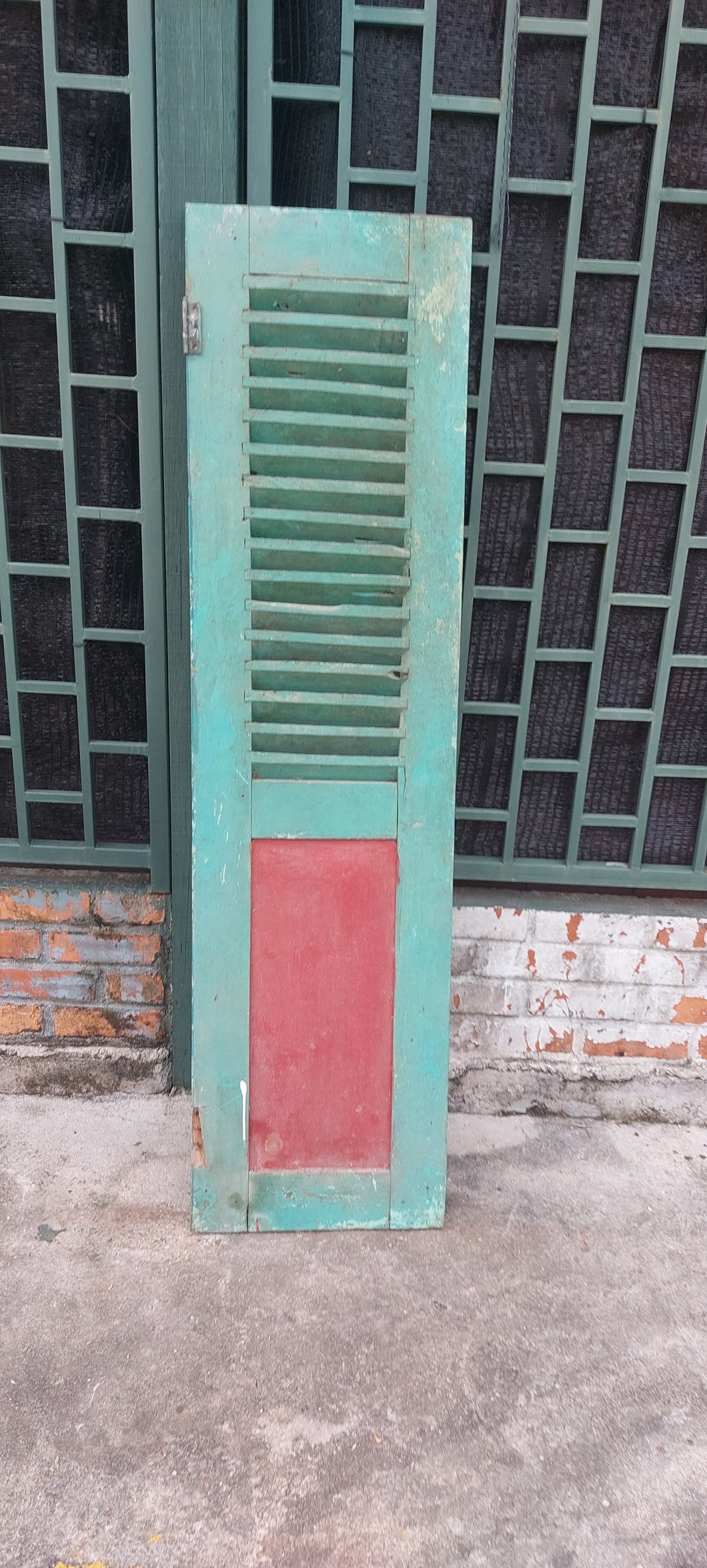 Vintage Door #12