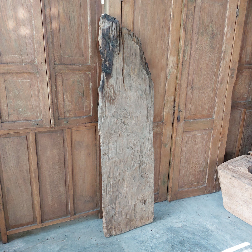 Teak Slab #1