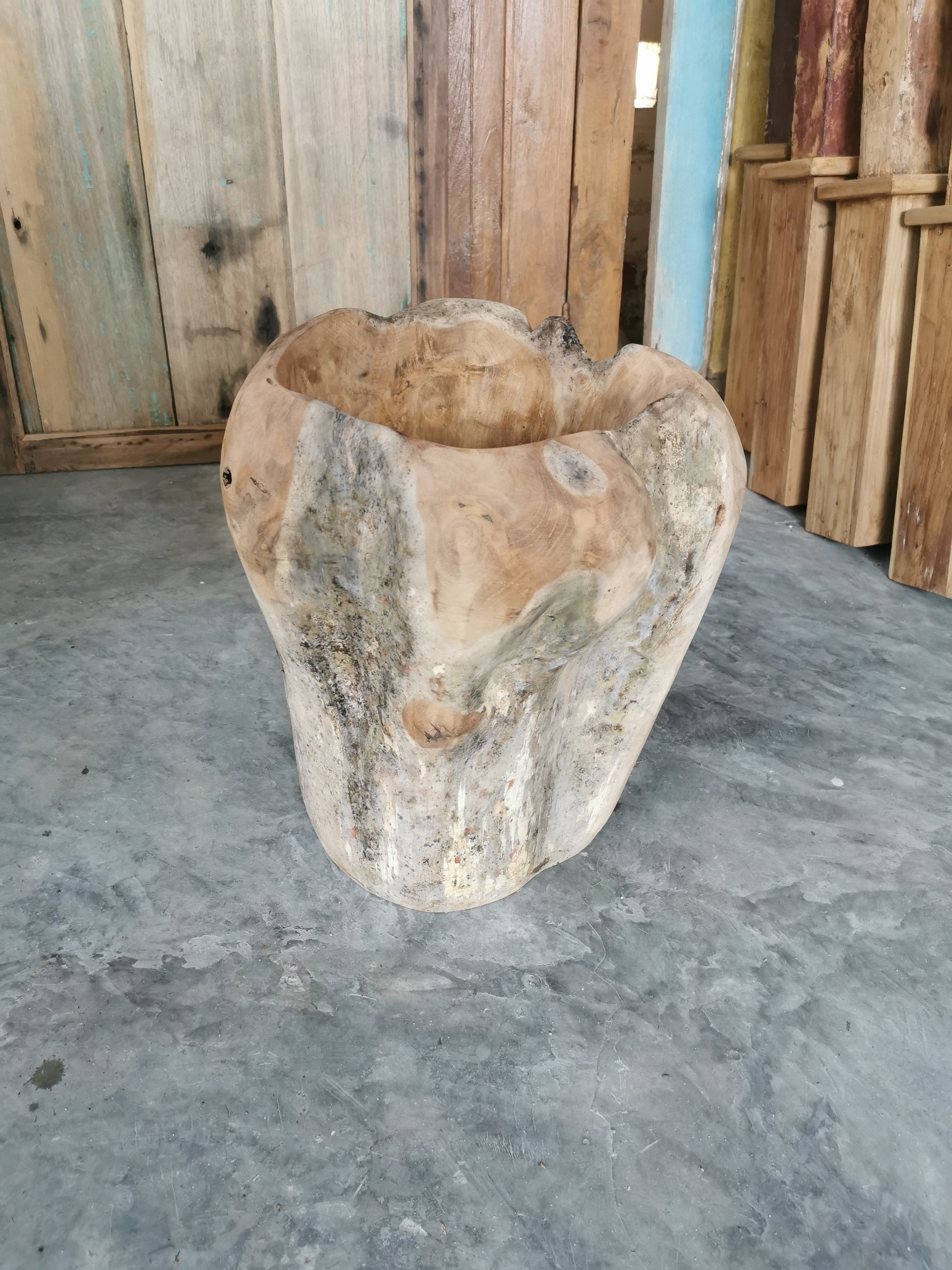 Teak Root Vase