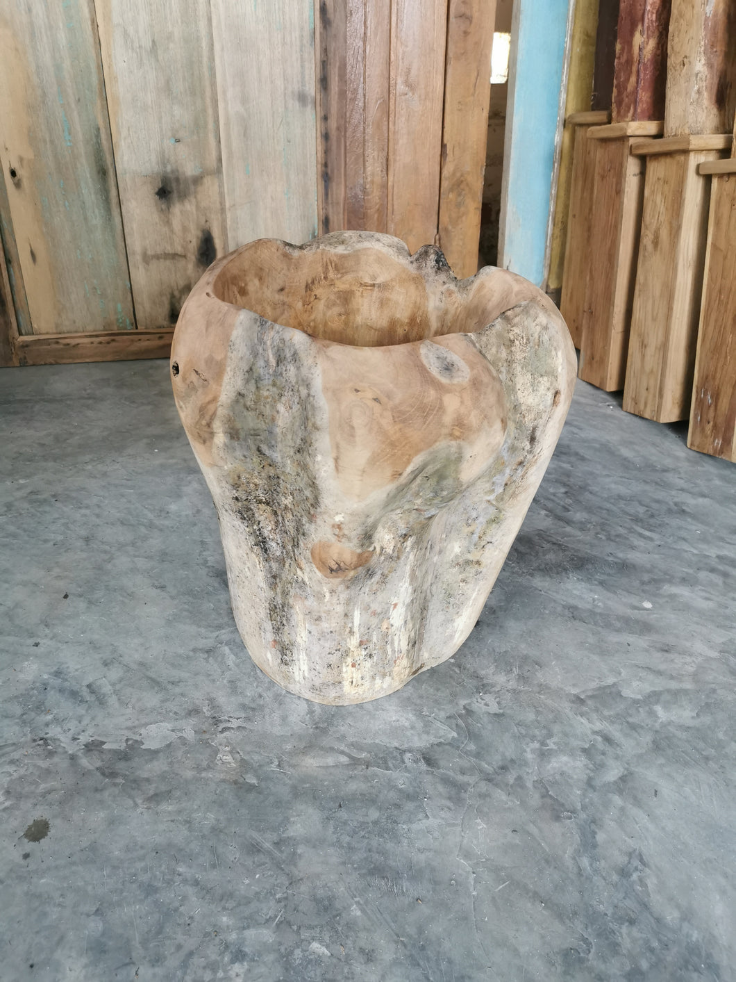 Teak Root Vase
